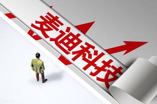 A股國產(chǎn)軟件低估值龍頭公司一覽（附知識產(chǎn)權(quán)服務(wù)領(lǐng)域名單）