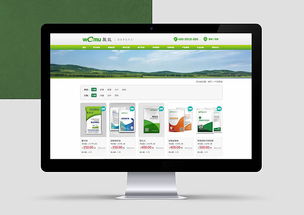 醫(yī)藥行業(yè)電子商務(wù)網(wǎng)站設(shè)計 合規(guī)、信任與用戶體驗的融合之道